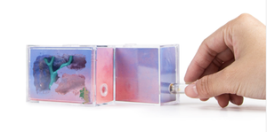 Mini Taille Jolie Mer Acrylique Design Matin Sentiment Fourmi Cage - Product Image 5