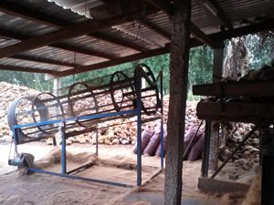 [NOUVEAU PRODUIT!!!] FIBRE DE NOIX DE COCO HAUTE NORME D'EXPORTATION AVEC LE PRIX COMPÉTITIF _ LE PLUS CHOCE POUR VOUS DU VIETNAM 2023 - Product Image 5