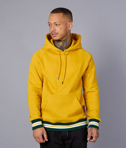 OEM broderie imprimée à manches longues sweat à capuche automne et hiver personnalisé mens grande taille sport logo personnalisé - Product Image 4