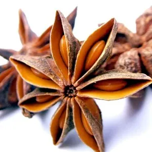 Vietnam Big Star Anise - Natural Reddish - Good Prices / Dried Star Anise - Single Spice K2 Rank Beautiful Star Anise