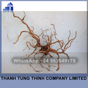 ไม้รากแมงมุมเวียดนาม ไม้ลอยน้ำธรรมชาติสำหรับตกแต่งตู้ปลา - Product Image 4