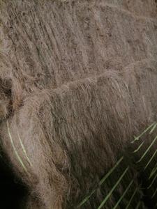 Fibre de coco sri-lankaise idéale pour les matelas, les coussins et le rembourrage, qualité d'exportation - Product Image 3