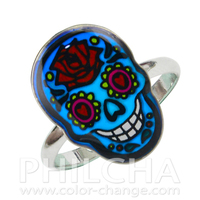 Nouvelle bague d'humeur unisexe en alliage de zinc, style crâne changeant de couleur, avec monture sertie, taille ajustable, coffret complet, cadeau de fête Philcha