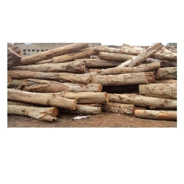 Preço mais barato Long Eucalyptus toros de Madeira para venda