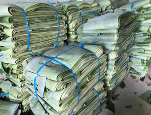 ใบตองสดจากเวียดนาม/มิลอร่า - Product Image 2