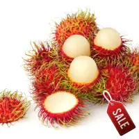 Fresh Rambutan Tropical Fruit from Vietnam, Big Sale