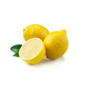 Cheap Price Seedless Fresh Lemon Made In Vietnam 100% Fresh Lime/ Lemon Wholesale Hot In 2022 From Bangladesh