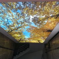 Plafond tendu décoratif pour hôtel, film suspendu 3D, impression UV, film de plafond extensible en PVC de haute qualité
