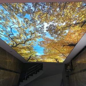 Película Decorativa para Techo Tensado, Película de PVC para Techo Extensible con Impresión UV 3D de Alta Calidad para Hoteles - Product Image 5