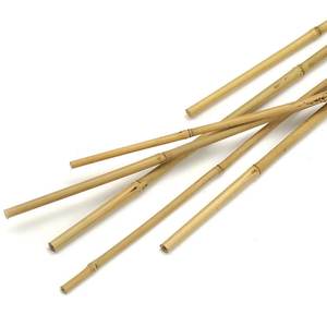 Hot Seller 2024 Eco Friendly <b>Bamboo</b> Stakes <b>Canes</b>/ <b>Bamboo</b> Stakes for Garden Made in Vietnam by Eco2go Vietnam - Product Image 3
