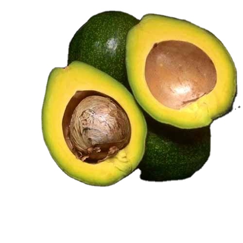 Aguacate fresco de Vietnam, aguacate fresco/aguacate congelador + 84-845-639-639