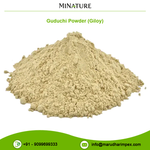 Gguduchi / Giloy en polvo, calidad Superior, puro y Natural, precio al por mayor - Product Image 2