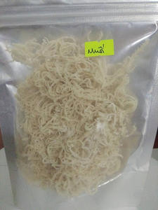 High Quality <b>Dried</b> Irish <b>Moss</b> Seaweed/ Cottonii Seaweed (Hot Price) - Product Image 4