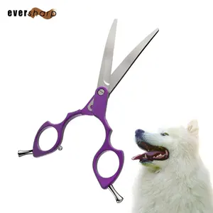 6.5 Inch Professional Pet Shears Curved Pet Scissors