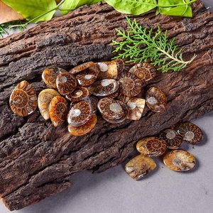 หินอัญมณี Cabochon,ขายดีที่สุดราคาขายส่งจำนวนมาก - Product Image 4