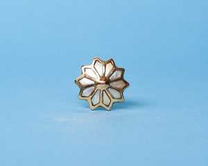 Chất Lượng Cao Mẹ Ngọc Trai Brass Cửa Tủ Núm Ngăn Kéo PL Đông Lấy Cảm hứng từ Tủ Xử Lý Trong Vàng Ngà Nhà Bếp Ứng Dụng - Product Image 3