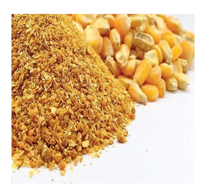 DDGS-alimento para animales con alto contenido de proteína, 99 almacenamiento de datos dorados - Product Image 5