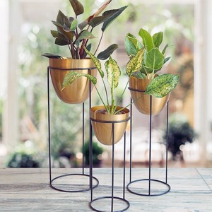 Support amovible avec planteur noir mat, 30 pièces, plantes noires décoratives - Product Image 6
