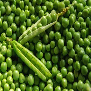 高蛋白天然绿色豌豆便宜的价格