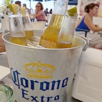 Lot de 6 bouteilles de bière en corona, seau à glace, avec LOGO personnalisé, pour fête, vente en gros, usine