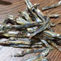FOURNISSEUR de filets de sardines séchées naturellement, transformées par lyophilisation, qualité A, faible teneur en sodium, emballage en vrac, prix compétitif /John