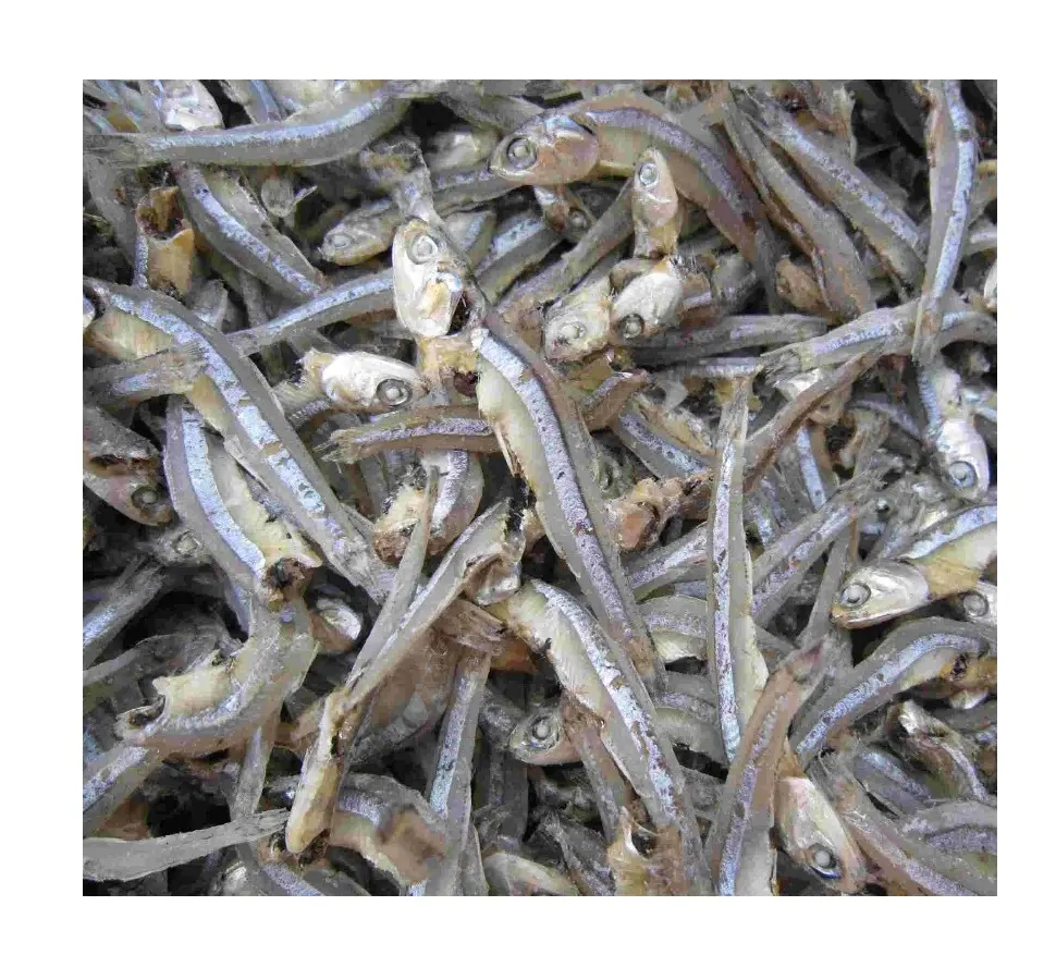 PRIX D'USINE SUPÉRIEUR POISSON D'ANCHOIS SÉCHÉ-SPRATS SÉCHÉS-FRUITS DE MER SÉCHÉS // HENRY (WhatsApp: + 84 799996940)