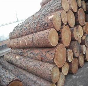 100% natural oak, eucalyptus wood logs