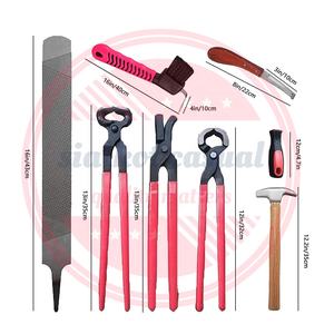 Fermier professionnel pour soins du bétail à cheval, ensemble de 8 pièces, robuste, avec tampon de couteau, marteau - Product Image 6