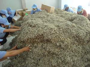 ANCHOVIAS SECAS DE ALTA CALIDAD/ANCHOVÍAS/ANCHOVIAS AL VAPOR/Sra. Lima - Product Image 6