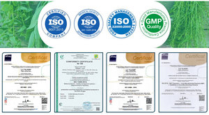 OEM ผู้ผลิตน้ำยาฆ่าเชื้อตัวแทนกล่องเสียงสเปรย์ที่มี Chlorophyllipt สำหรับการดูแลปากเหงือกและลำคอ - Product Image 5