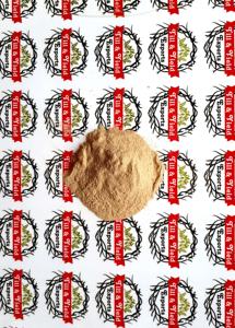 Naturel Bhringraj fruits/poudre/extrait - Product Image 5