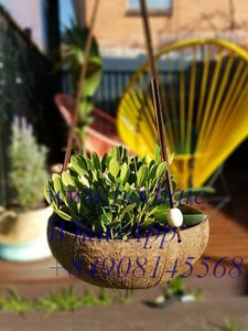 ข้างนอกบ้านนกแขวนทำด้วยมือเป็นมิตรกับสิ่งแวดล้อมกะลามะพร้าวแขวนบ้านนกกรง Vientam ผู้จัดจำหน่าย - Product Image 3