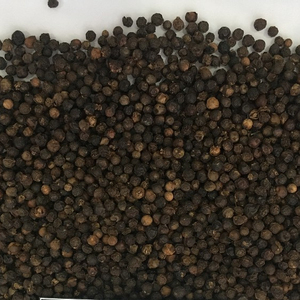 PREMIUM VIETNAM POIVRE NOIR DENSITÉ 500 - 570 GRAM/LITRE (Viber: + 84 971629648-Mme Lona) - Product Image 6