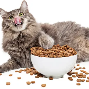 PURINA 애완 동물 식품 제조 균형 잡힌 영양 성인 건조 개/고양이 식품