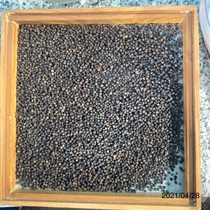 Arroz Blanco Vilaconic de Grado 1 con Certificación ISO, Secado Duro, Grano Largo, de Vietnam, Cosecha 2015-2016 - Product Image 4