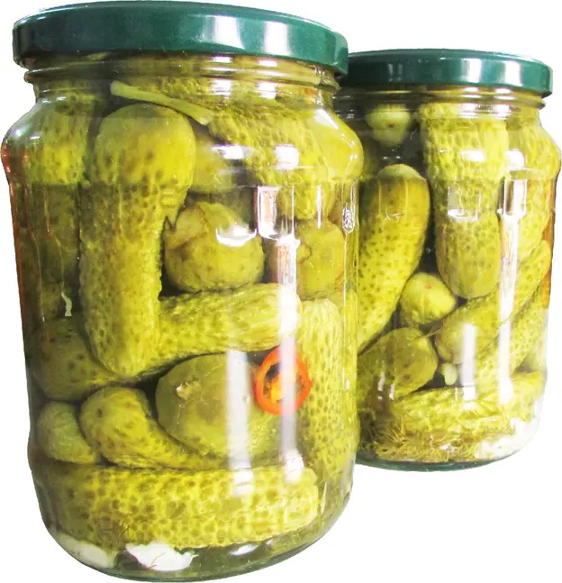 Encurtidos de eneldo KOSHER/medio encurtido agrio/enelado pepino fermentado