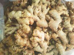 Vente en gros de gingembre frais de haute qualité fournisseur/gingembre frais prix par kg de gingembre séché à l'air pour l'exportation - Product Image 2