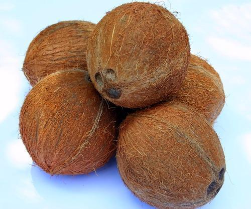 Fresh Semi Husked Coconut