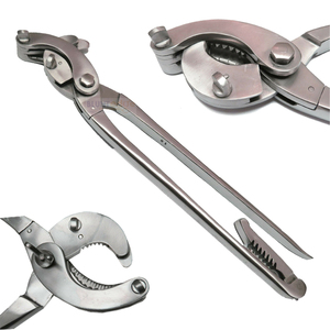 Pinza Emasculadora de Precisión con Trinquete de Alta Calidad para Castración Veterinaria Segura en Procedimientos Quirúrgicos Bovinos y Equinos - Product Image 2