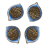 Composant de noyau de boule en céramique micro poreux d'approvisionnement d'usine pour le récipient de pression de filtre à eau pour l'application d'aspirateur