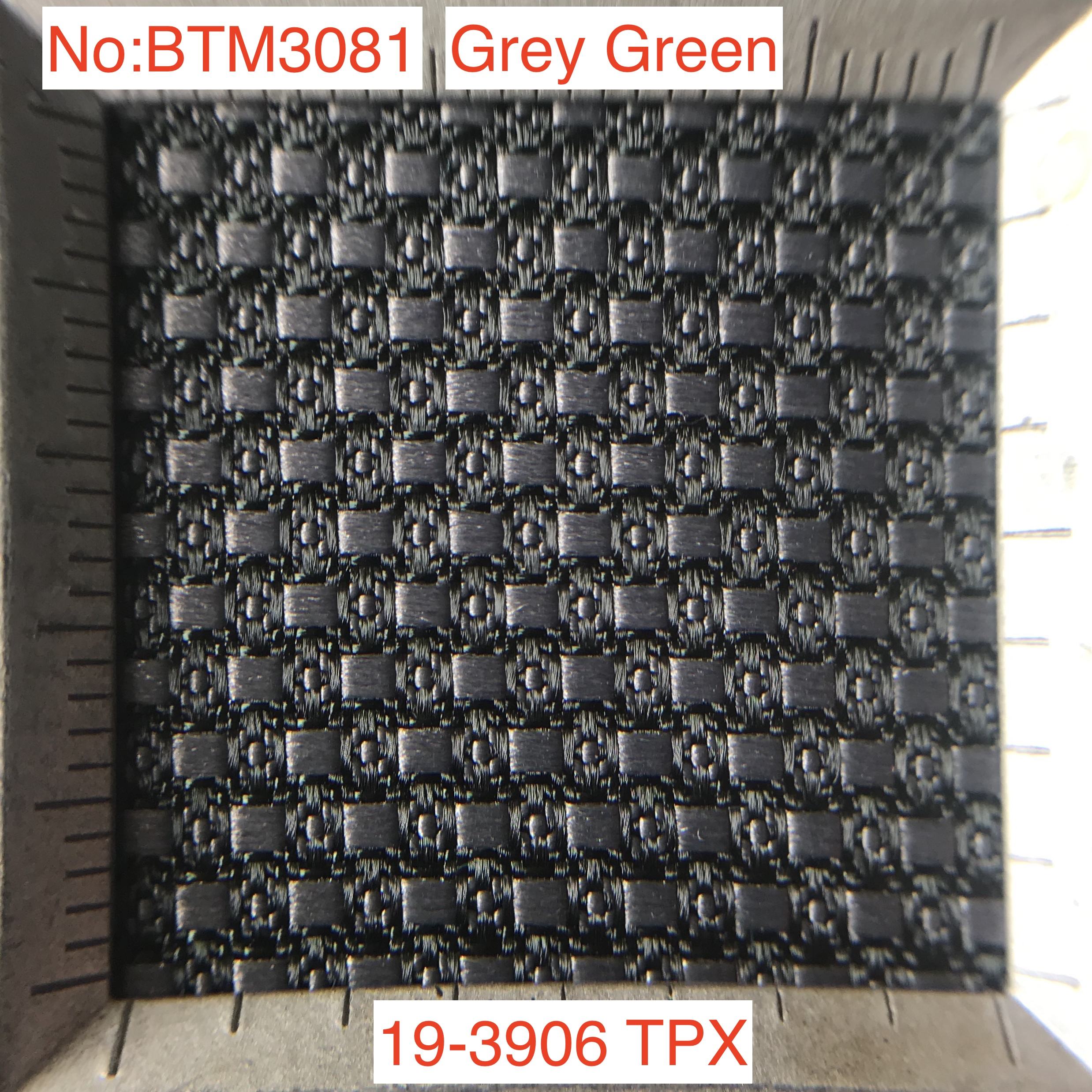 Grey Green 19-3906TPX