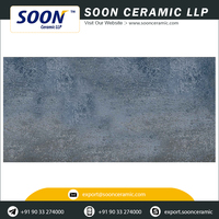 Nouvelles dalles murales en porcelaine numérique pour véranda, design rustique, 400x800mm, texture fleurs et plantes, antibactériennes, antidérapantes, pour hôtel