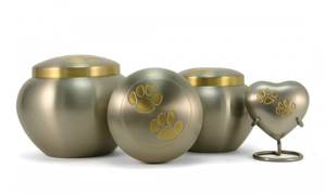 Brassworld India Urna para mascotas de alta calidad con patas plateadas Suministros funerarios - Product Image 4