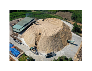 Copeaux de bois d'acacia au Vietnam avec 25 000 BDMT/mois - Product Image 5