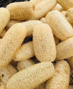 RAW MATERIAL LOOFAH <b>SPONGES</b> CHEAP PRICE FROM VIETNAM/ORGANIC LOOFAH WITH COMPETITIVE PRICE for SKIN <b>EXFOLIATING</b> - Product Image 3