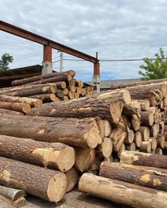 Find High Grade Pine Round Logs For Lumber And Sawing Low Moq New Packaging Alibaba Com