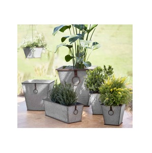 Plantador manual de semillas de calabaza pequeña, plantador de verduras de hierro, en venta - Product Image 2