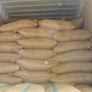 พริกไทยดำเวียดนาม 550GL MC คุณภาพดีที่สุด ราคาดีที่สุด สำหรับการส่งออก - บรรจุ 50 กก./ถุง PP - Product Image 1