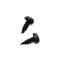 Vis à cloison sèche Phillips à pointe acérée en acier inoxydable ISO Ruspert, tête plate, filetage fin, zinguées, phosphate noires