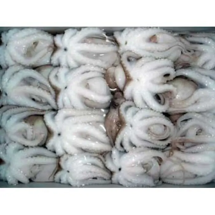 Fabrik preis Frozen Octopus Whole Cleaned Individuell Gefroren Top Qualität aus Vietnam Hot Sale